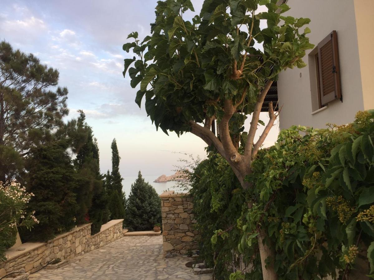 Natica Mare Villas Xerokampos  Exteriör bild