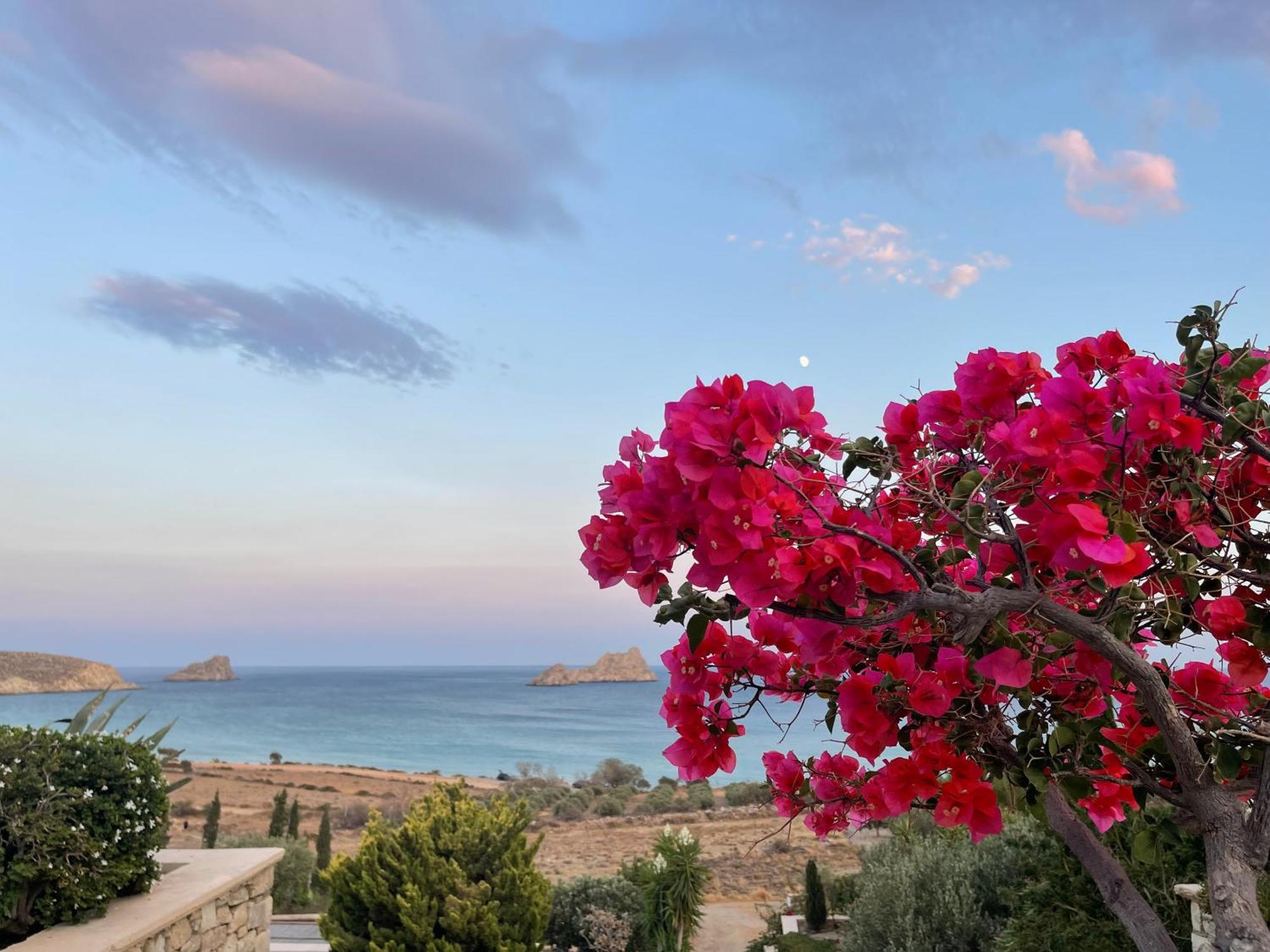 Natica Mare Villas Xerokampos  Exteriör bild