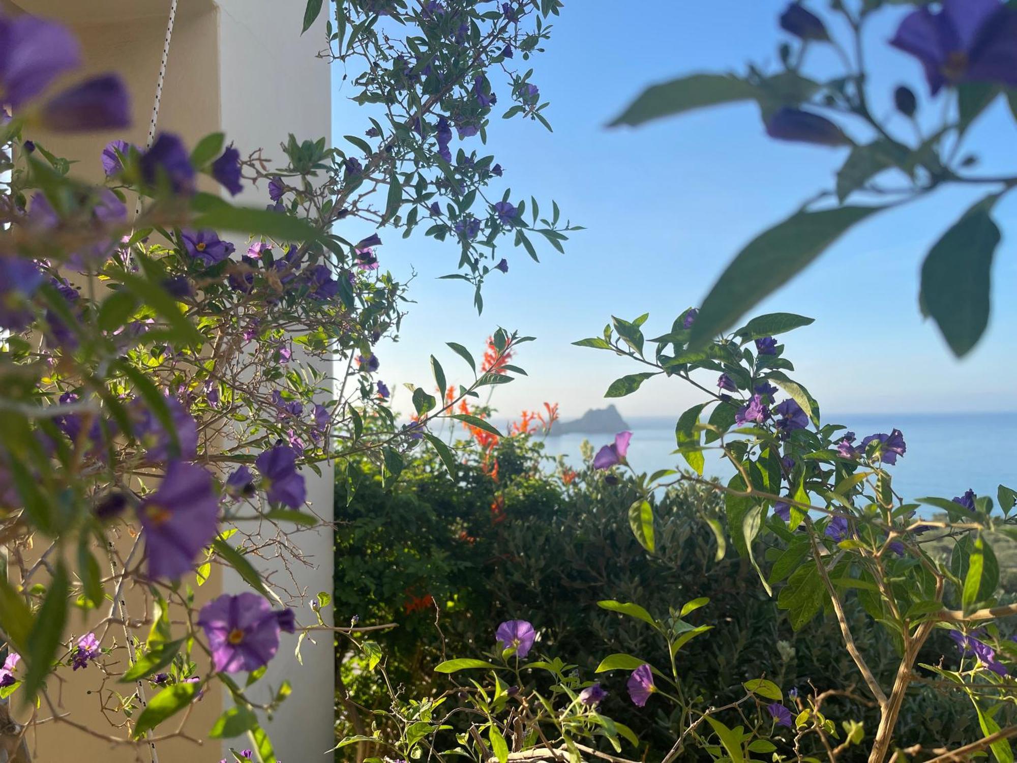 Natica Mare Villas Xerokampos  Exteriör bild