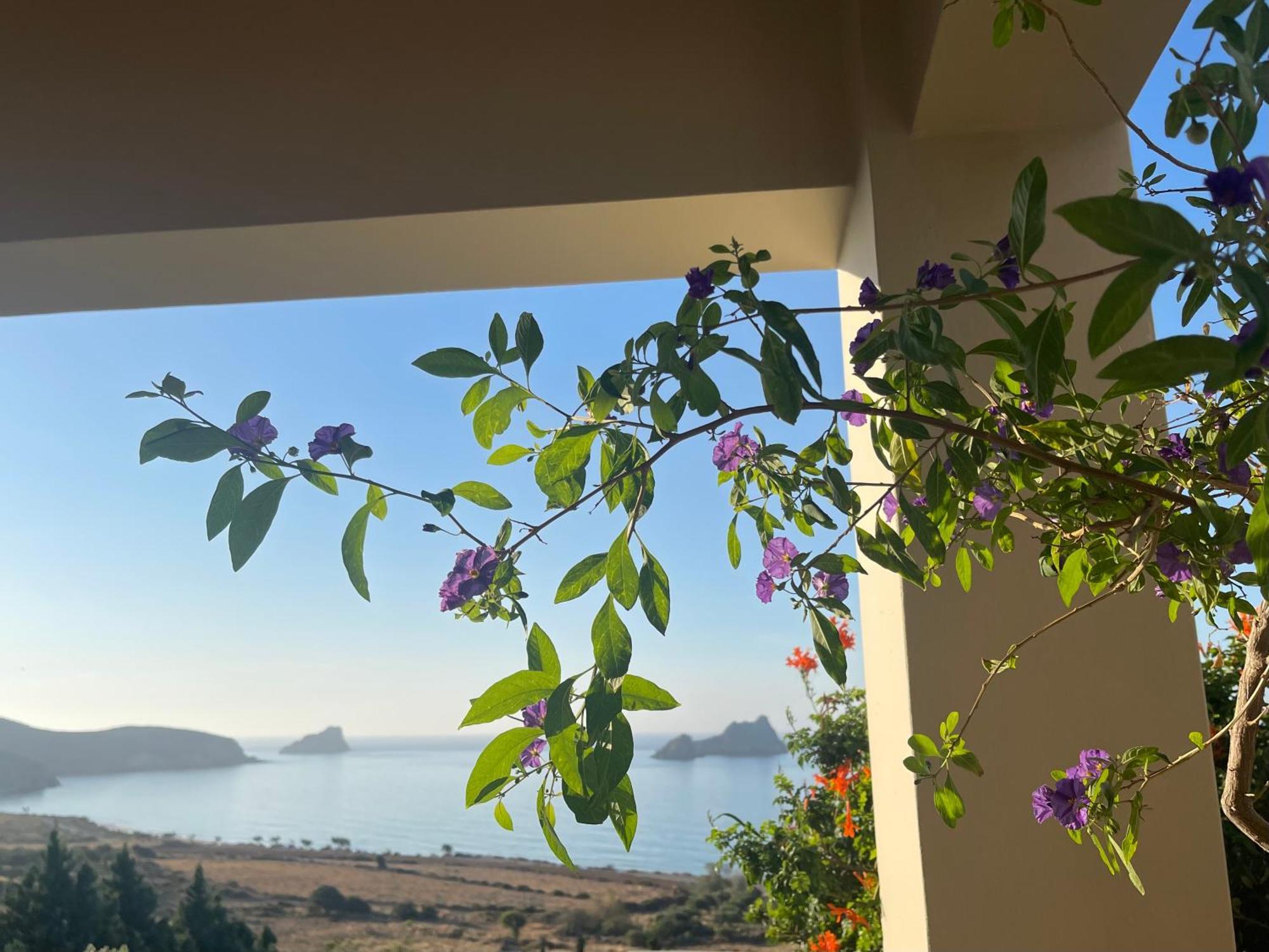 Natica Mare Villas Xerokampos  Exteriör bild