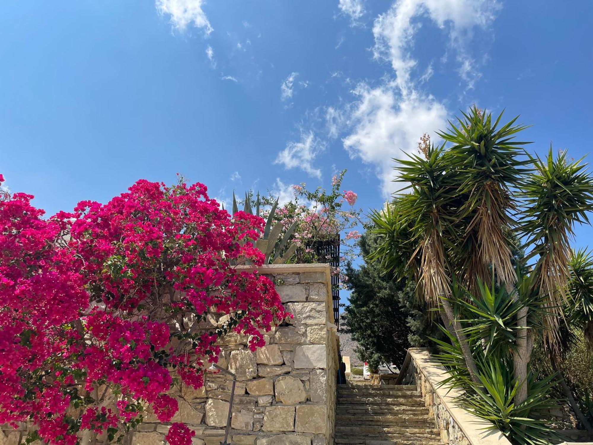 Natica Mare Villas Xerokampos  Exteriör bild